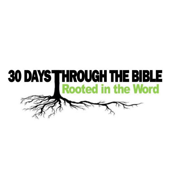 rooted in the bible collinsville il church
